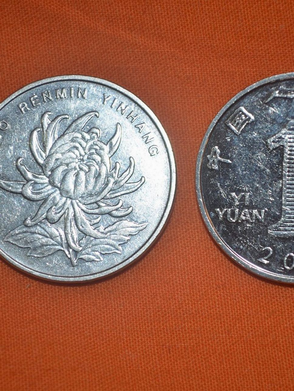 Deneyimli bir numismatist koleksiyonunu incelerken